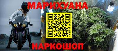 PSILOCYBIN Нальчик