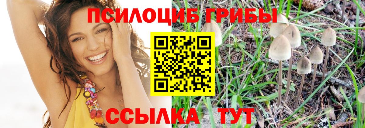 Галлюциногенные грибы мицелий Шарыпово